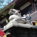 IMG_8210.JPG